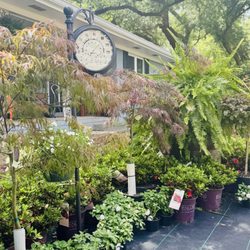 JoJo's Landscape Supplies & more
