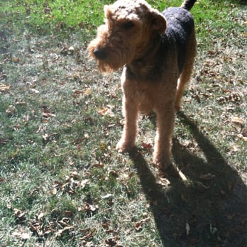 Trim Time Inc - Pet Sitting Near Me - Milwaukee, Wisconsin Trim Time Inc - Pet Sitting Near Me - Milwaukee, Wisconsin
