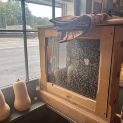 Chazy Orchards - Bee hive