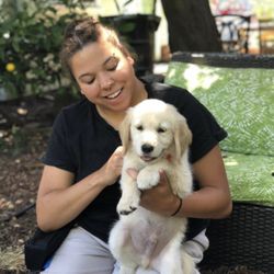 Christie Trains Dogs