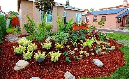 Slide of CHDO by Sunrise City