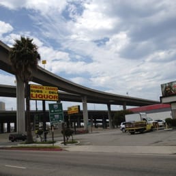 an overpass and a palm tree an overpass and a palm tree