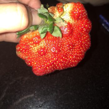Ralphs - This is what gmo's do to your food. #shopElsewhere #shopOrganic - Grocery Near Me - Anaheim, California