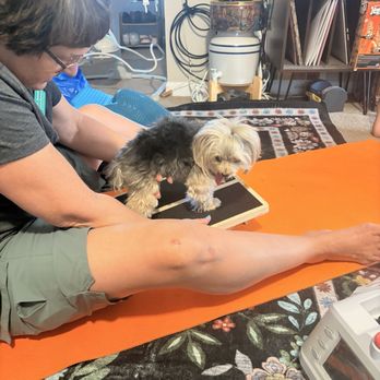 Holistic Pet Physical Therapy - Balance board - Holistic Animal Care Near Me Holistic Pet Physical Therapy - Balance board - Holistic Animal Care Near Me