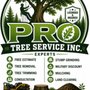 Pro Tree Service