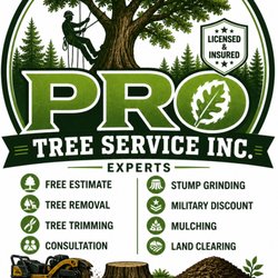 Pro Tree Service