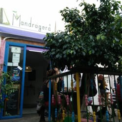 La Mandrágora