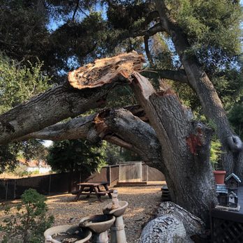 Bunyon Bros. Tree Service - Tree Services Near Me Bunyon Bros. Tree Service - Tree Services Near Me