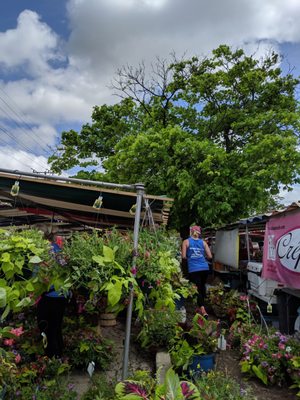 WHEATON FRENCH MARKET - 50 Photos & 12 Reviews - S Main St, Wheaton