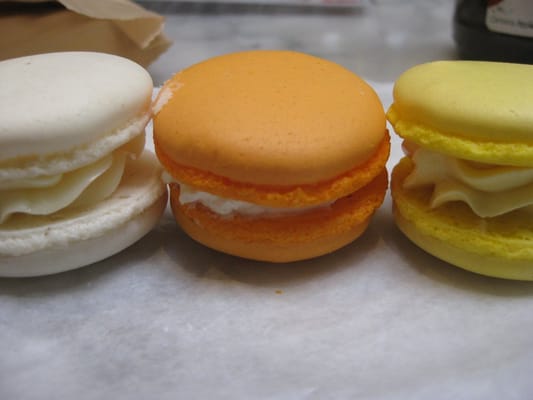 Elephants Delicatessen by null