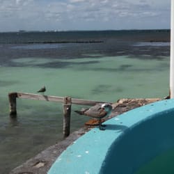 Tortuganja / Turtle Farm