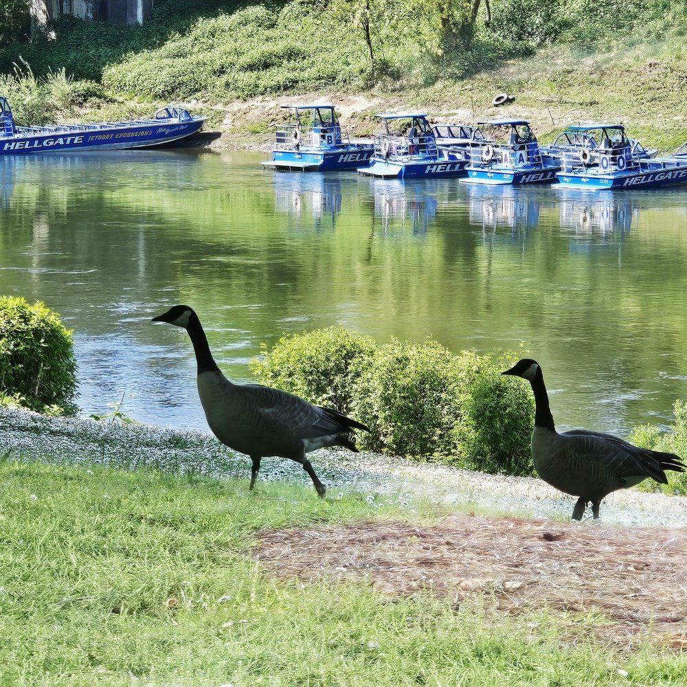 Riverside Park - Looking across the Rogue River. - Parks Near Me - Grants Pass, Oregon Riverside Park - Looking across the Rogue River. - Parks Near Me - Grants Pass, Oregon