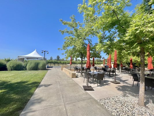 Rodney Strong Vineyards by null