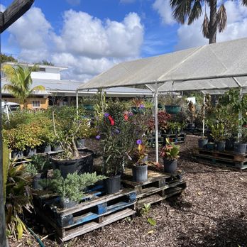 Marando Farms & Ranch - Farmers Market Near Me - Davie, Florida