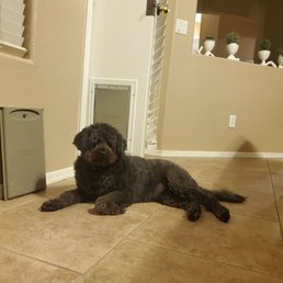 Lulu approved!