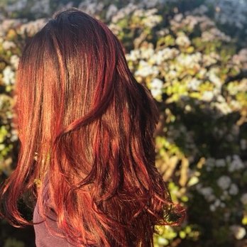 Salon Avalon - Hair Salons Near Me - Pleasant Hill, California