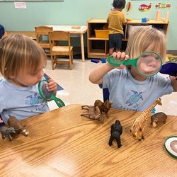 Temple Beit HaYam Early Childhood Learning Center