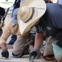 Rubber Stone Solutions