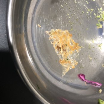 Amara Kitchen - Piece of plastic from the vegan breakfast burrito - Coffee & Tea Near Me - Los Angeles, California Amara Kitchen - Piece of plastic from the vegan breakfast burrito - Coffee & Tea Near Me - Los Angeles, California