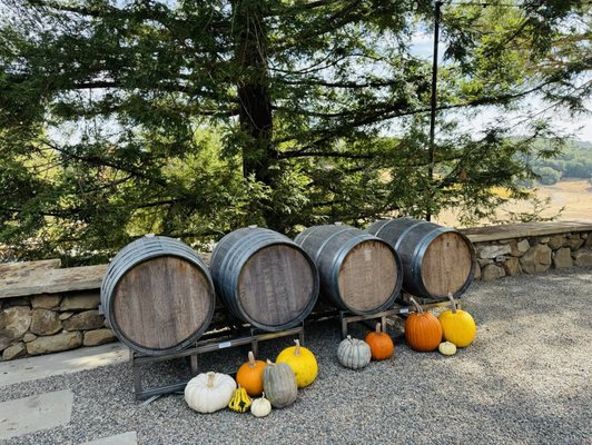 Epoch Estate Wines by null