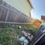 Photo of Grass Guys