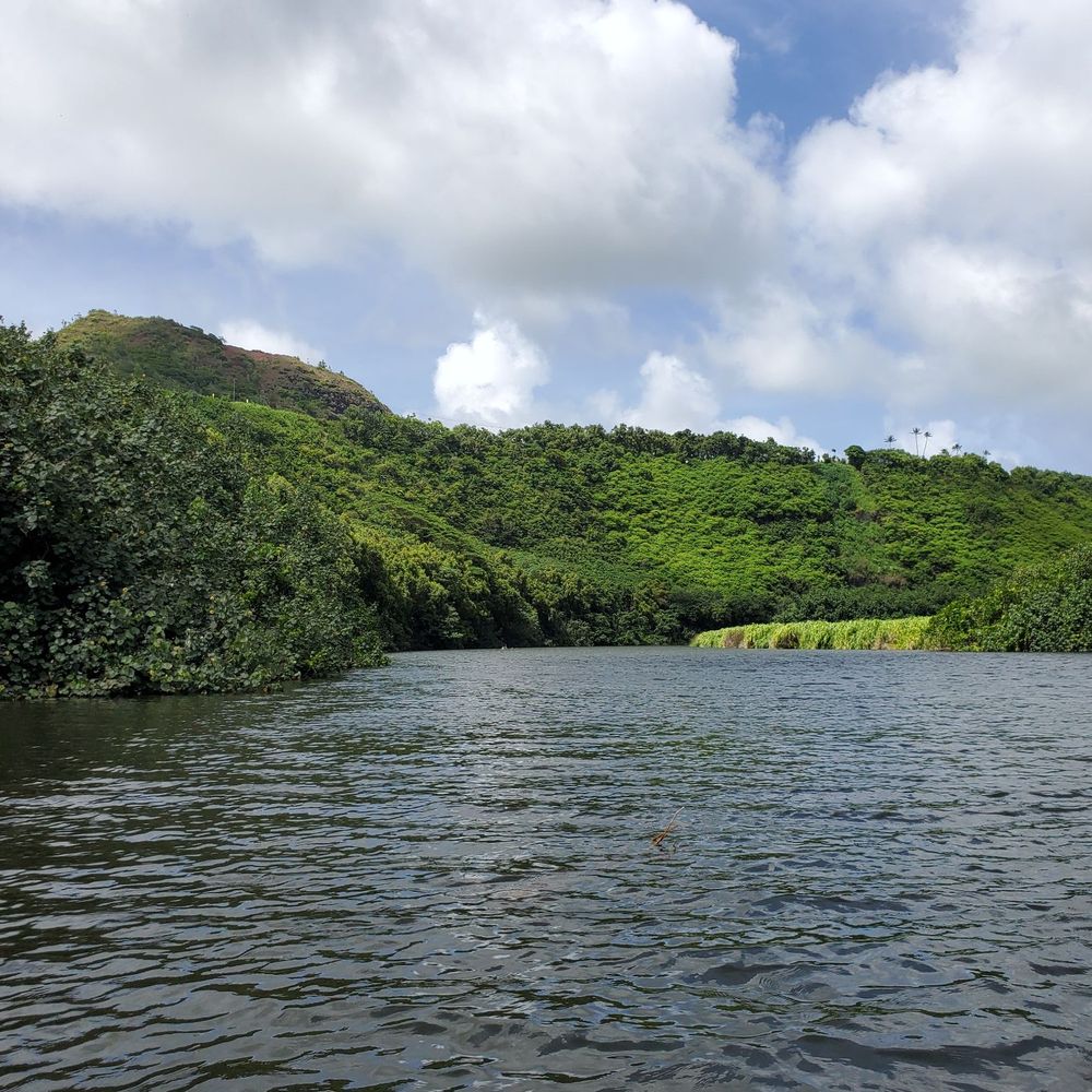Kayak Wailua Tours - Tours Near Me - Kapaa, Hawaii