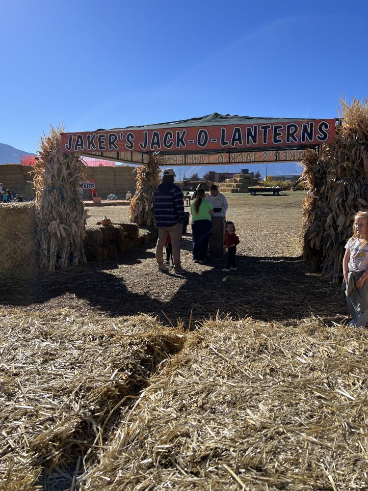 Jaker's Jack-O-Lanterns Logo
