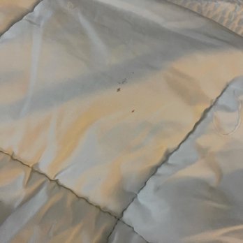 CoCo Key - blood stain on bed sheets - Resorts Near Me - Orlando, Florida