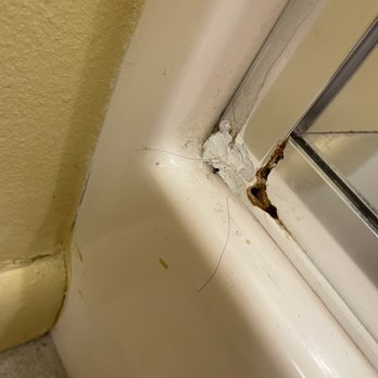 Daytona Beach Regency - Gross shower, and yes that is someone else's hair. - Hotels Near Me - Daytona Beach, Florida