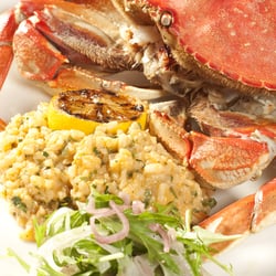 Cutters Crabhouse - Whole Dungeness Crab with Lobster Rissotto