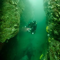 Dingle Marina Dive Center - Dive Dingle with Dingle Marina Dive Centre