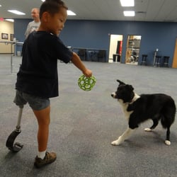 Prosthetic & Orthotic Associates