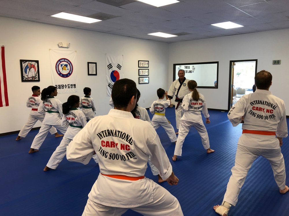 Triangle Karate Logo