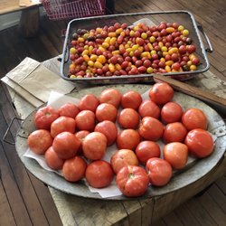 The Royal Tomato - Local tomatoes