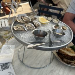 Oysters Oysters