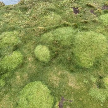 Cliffs of Moher - Local Flavor Near Me - Liscannor, CE