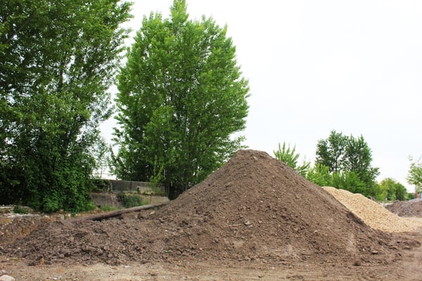 Parc aux Angéliques by null