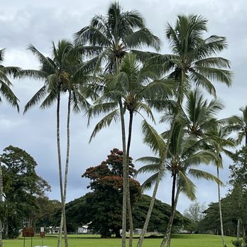 Wailoa River State Recreation Area - Parks Near Me - Hilo, Hawaii