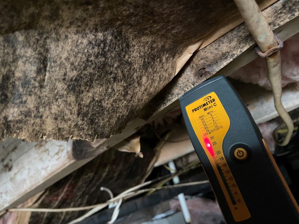 Indoor Air Services - mold inspector in Burlington, NJ