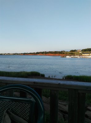 Carr's Oyster Bar by null