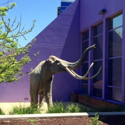 Children's Discovery Museum