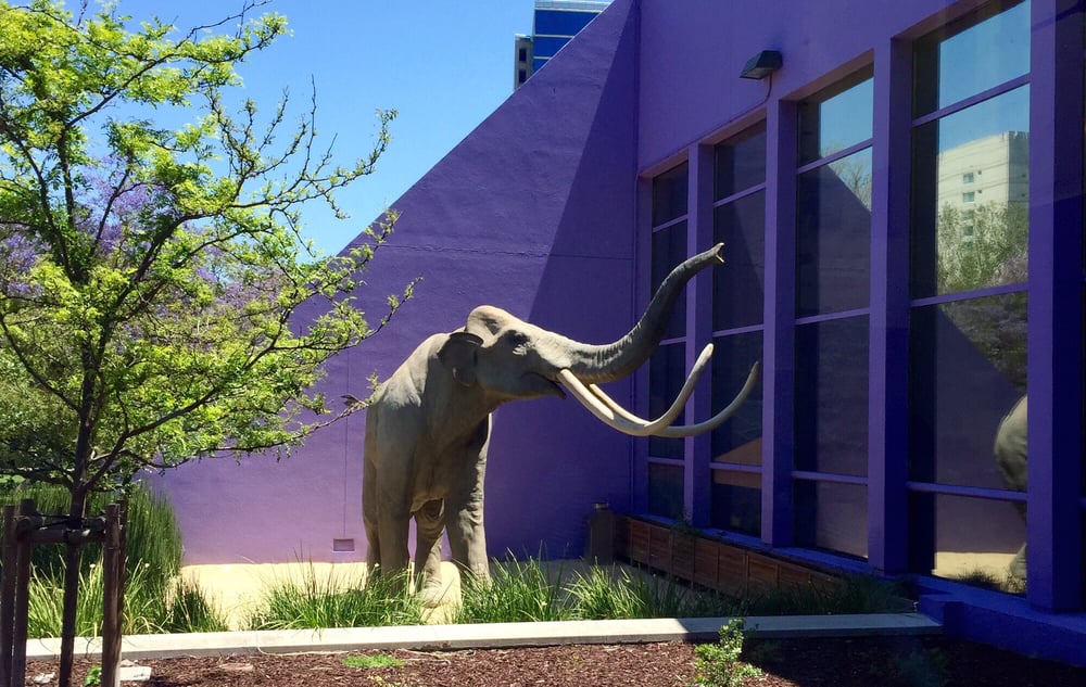 CHILDREN’S DISCOVERY MUSEUM - Updated October 2025 - 1403 Photos & 790