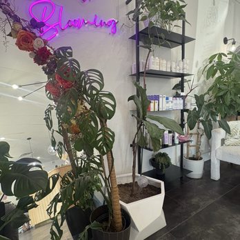 Urban Bloom Curl Studio - Cute area next to seats - Hair Stylists Near Me - Tempe, Arizona Urban Bloom Curl Studio - Cute area next to seats - Hair Stylists Near Me - Tempe, Arizona
