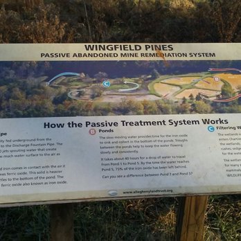 Wingfield Pines - Parks Near Me - Pittsburgh, Pennsylvania Wingfield Pines - Parks Near Me - Pittsburgh, Pennsylvania