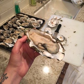 Jandy Oyster - Seafood Markets Near Me - Tillamook, Oregon Jandy Oyster - Seafood Markets Near Me - Tillamook, Oregon