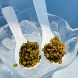 Tower 23 - Caviar Bumps