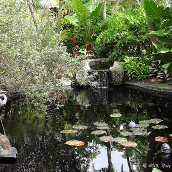 Naples Botanical Garden - One of the ponds as you enter. - Botanical Gardens Near Me - Naples, Florida