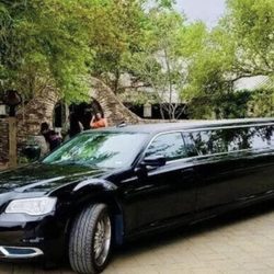 Silver Saddle Limousine