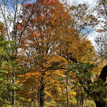 Harriman State Park - October 19, 2025 - Parks Near Me - Southfields, New York