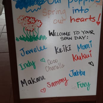 Live Love Pet - Yay! See Makana's name on da board......... - Pet Groomers Near Me - Honolulu, Hawaii Live Love Pet - Yay! See Makana's name on da board......... - Pet Groomers Near Me - Honolulu, Hawaii